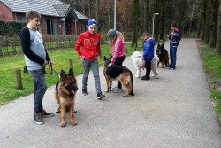 angsttraining-buro-hond-kinderen-4